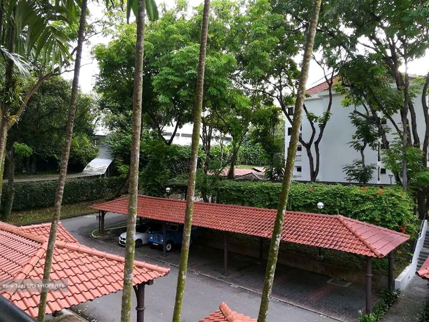 Tanglin Park (D10), Condominium #565680511